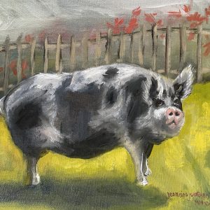 Dotty the Pig